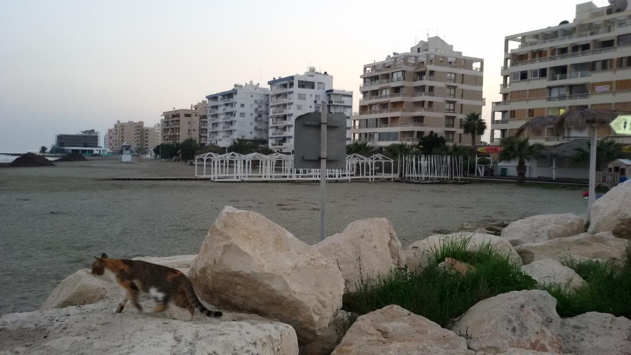Lca2 Flat For You Apartment 拉纳卡 外观 照片